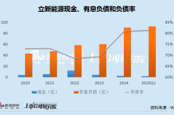 立新能源5次修改定增预案有息负债逼近百亿 上市次年业绩变脸坏账减值加速攀升
