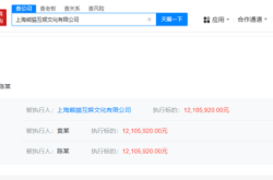 王思聪名下熊猫互娱被执行1210万，此前公司已破产