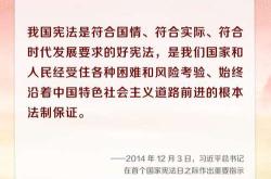 全面推进依法治国的重大意义：构建法治中国的坚实基石