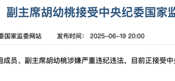 涉嫌严重违纪违法，江西省政协原副主席胡幼桃接受审查调查