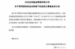 兴证全球基金童兰：以偏防守的心态对待投资