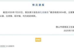 广东佛山顺德基孔肯雅热病例接近三千：已外溢至省外，为何传播快