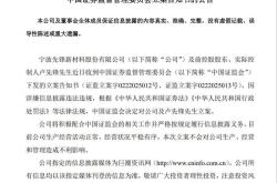 刚“摘帽”不到两月，先锋新材前实控人卢先锋遭证监会立案