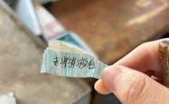 这个夏天，我不想做「腋下管理」了