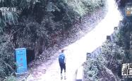 新闻调查丨户外探险事故频发，如何规范管理“越界”行为？