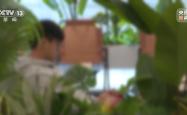 新闻周刊丨从缅甸电诈园区脱险回家，高中生胡一啸都经历了什么？