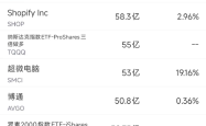 8月6日美股成交额前20：特斯拉新款FSD模型或在下月发布