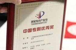 享受国务院政府特殊津贴专家：他们背后的故事与贡献