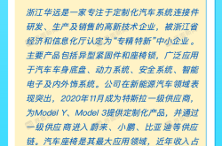 打新早报｜特斯拉产业链浙江华远、半导体概念胜科纳米今日申购