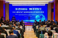数智领航 扬帆出海：建发股份2024年供应链运营交出亮眼答卷