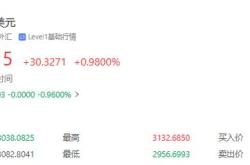 特朗普将在密歇根宣布对部分汽车制造商的关税减免
