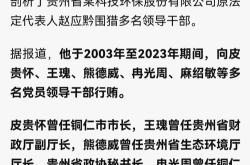 涉延安必康财务造假案，时任董事长谷晓嘉被罚500万元、十年市场禁入