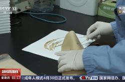 中国空间站多项太空实验已取得成果，未来将陆续开展千余项研究