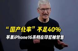 印度能取代“中国果链”吗？iPhone的“灵魂”仍在中国