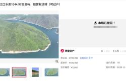 50万元起拍千亩半岛经营权，万人围观后突然撤回