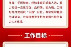 党小组会议制度：强化基层党组织建设的重要途径