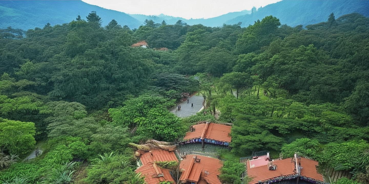 阿根廷国家队球衣：荣耀与 *** 的象征 第1张