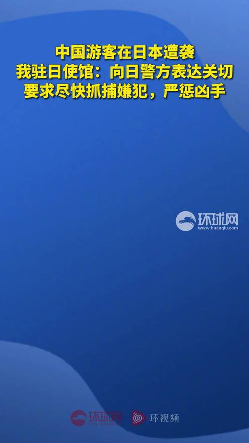 中国游客在日遭袭，驻日使馆提醒加强安全防范 第1张